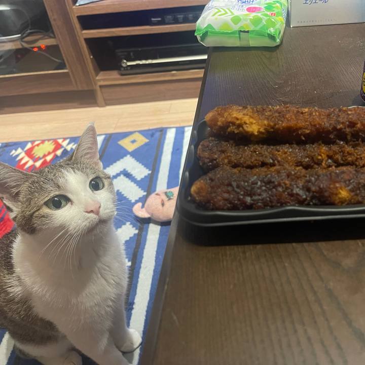 30dcb578 9d46 4eb7 a1b4 5f9497f0859e 1627221642446