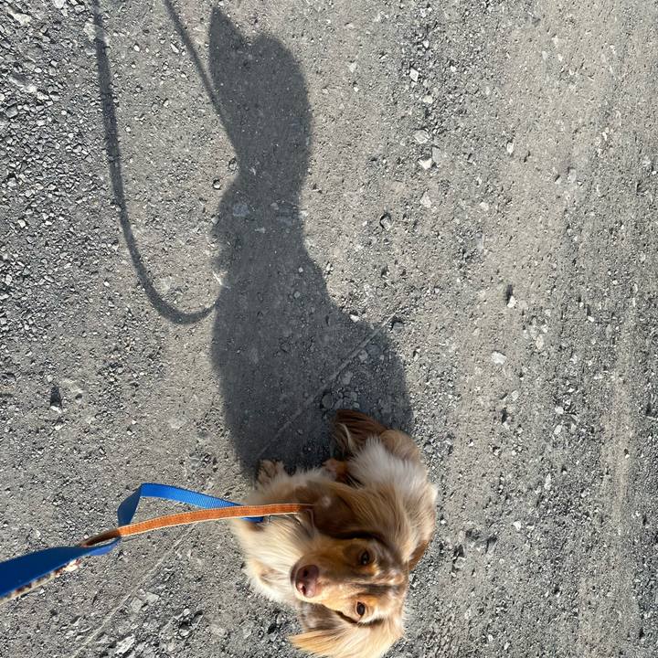 30dcbfd5 3db3 435b 9862 c22216fa5791 1763254570598