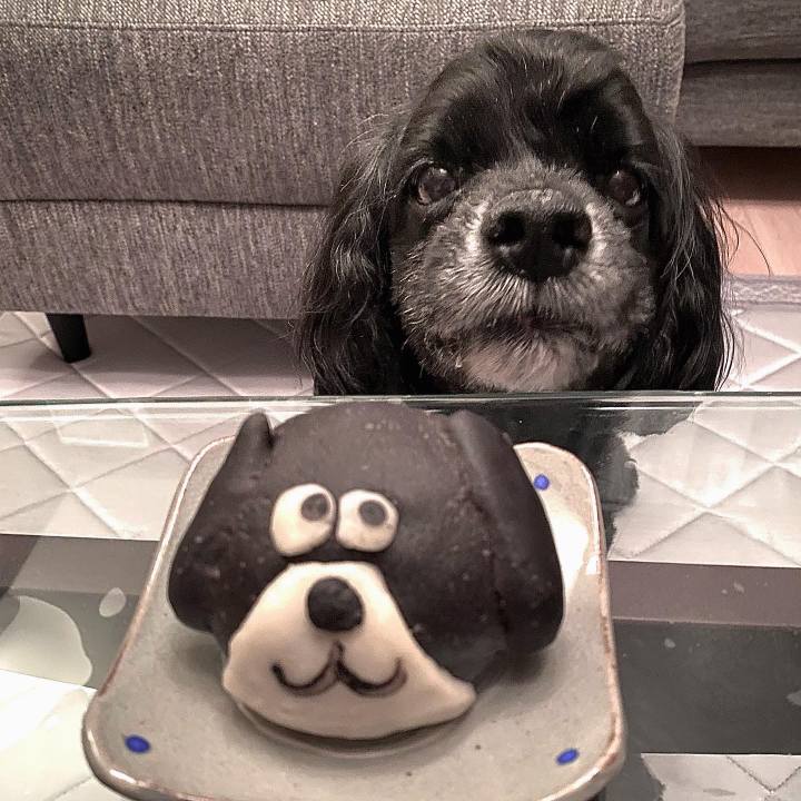 30dcc635 af57 4edc a471 38838cdd1fc8 1698845220964