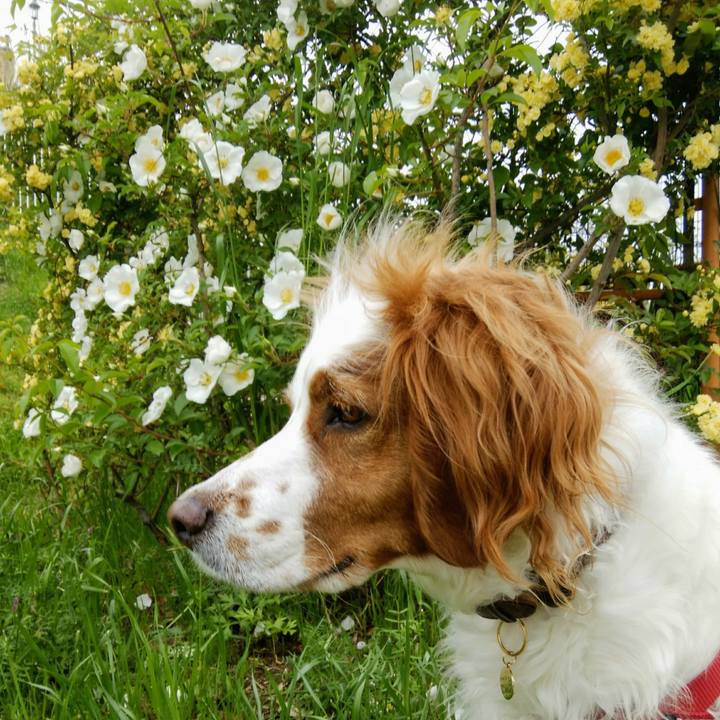 30dce8bd 3e9e 4683 bf7d 8aa45c54fb60 1556624634089