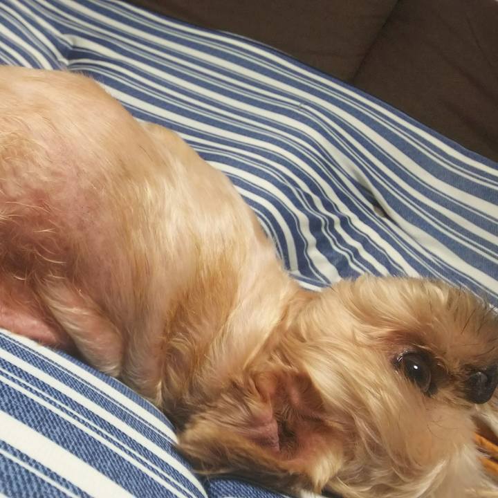 30dcf21f 24e0 4a26 9642 31b446ab3dba 1533805048637