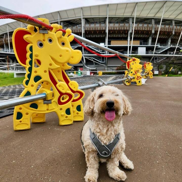 30dd1e49 80bb 4e70 883d 5967d50fb5e1 1759463834480