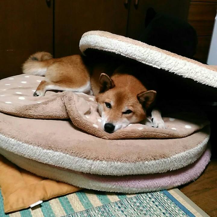 30dd1f3b 861f 4280 9adc 3b62a2d5331d 1572267545309