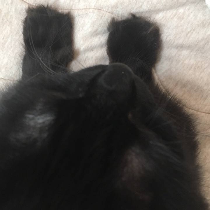 30dd72ee 7667 45f6 b1a7 9b5d19b6ed77 1537839346725