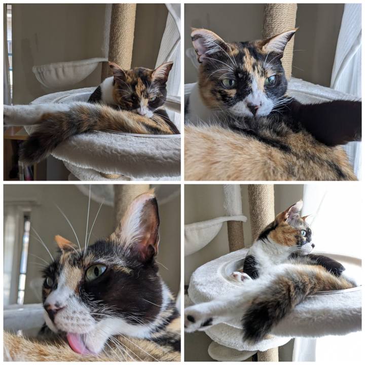 30ddca8b 6541 489b b773 105d67d6a57b 1690181919654