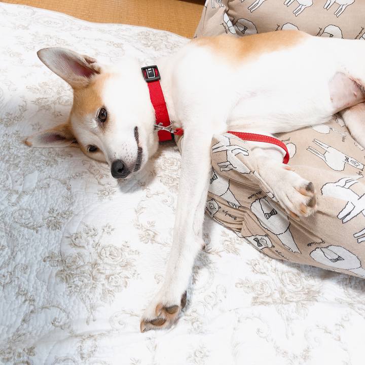 30ddcea2 6f1f 40e5 8e0a e090ad688b81 1594107469072