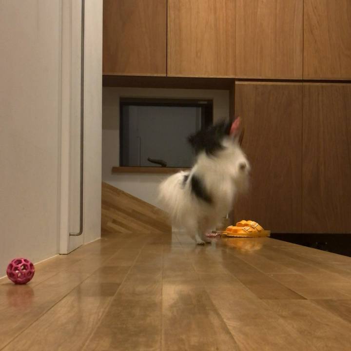 30dde86a e1ac 410a b7ee f2c340d6a907 1534156030742