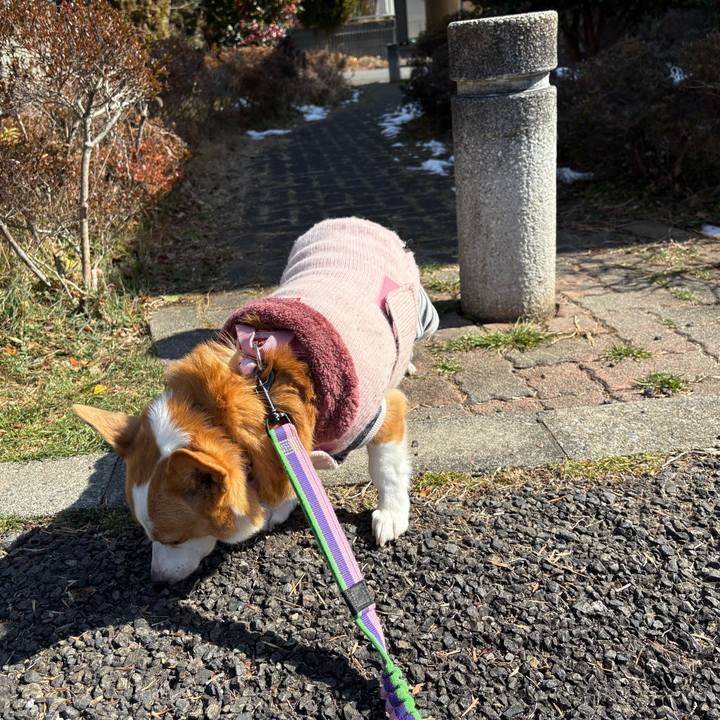 30de00f8 4513 4dda add7 fb541eefc83d 1770702532441