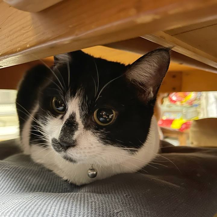 30de0aec fcd0 4806 b8d3 1ffb3212be05 1765406774100