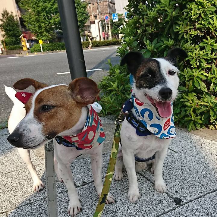 30de11c2 0d8c 4278 a293 35734064a5b3 1531692261852