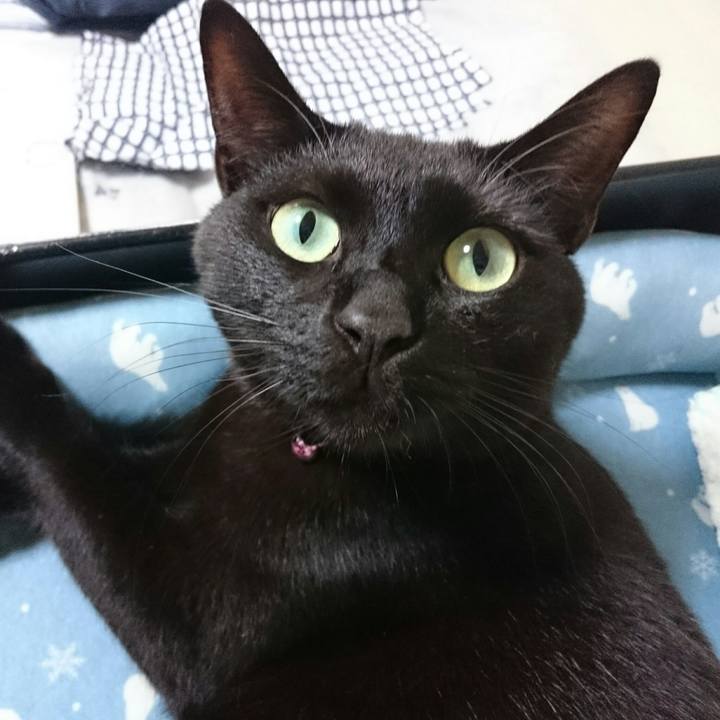 30de4393 aac2 4029 8869 18b554264f29 1535932474362