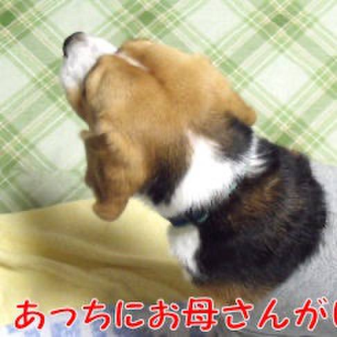 30de9ffd 90f6 4725 96de 6b6eecaa4521 1719013822456