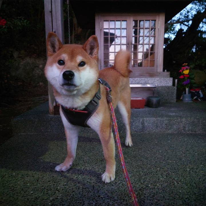 30deaea0 b10e 402e 8404 e0a0ff2cf7b7 1771473406899