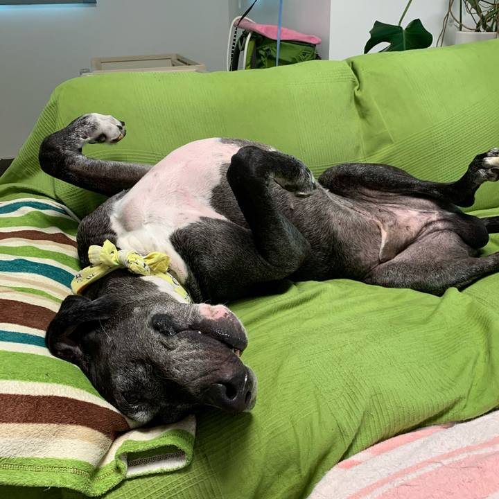 30df01c7 053f 44bb 9196 a6060e6be76e 1599087236195