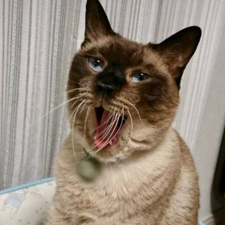 30df0db8 6e76 4ee2 a0e2 84b1b81faffc 1645142722687