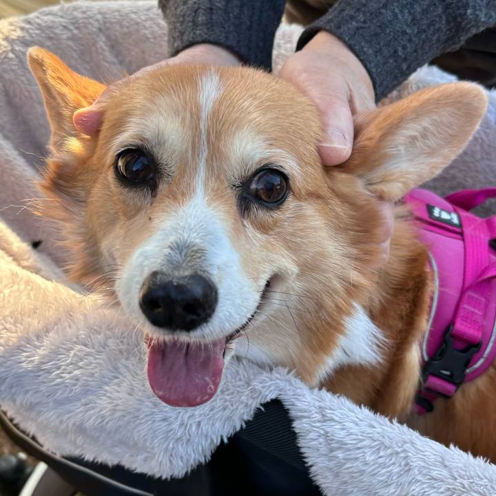 30df18ce 7659 4af5 83fc 48dd93a946e1 1738387512120