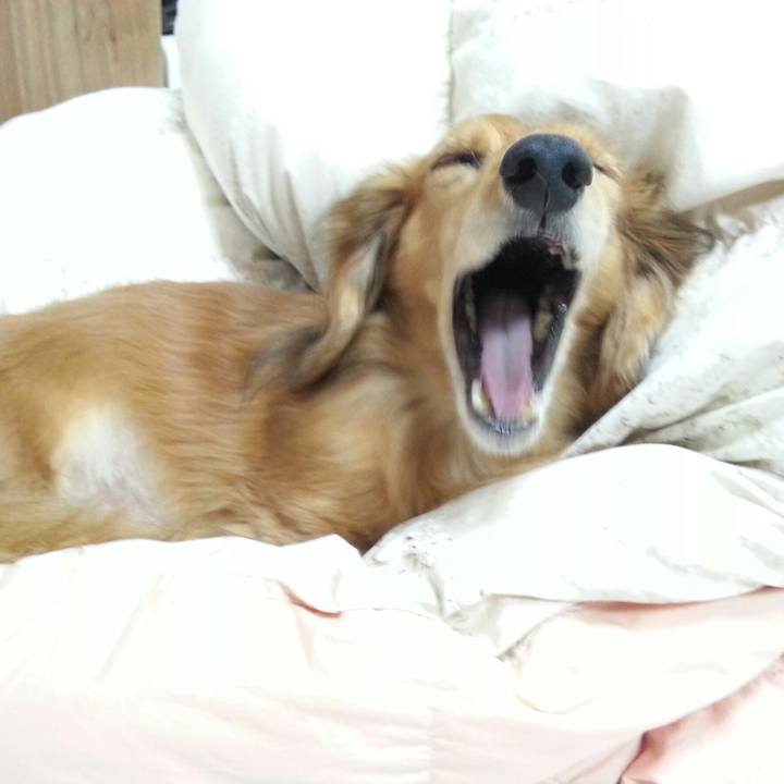 30df3ff8 de63 4731 b938 21563a961b29 1549278267760