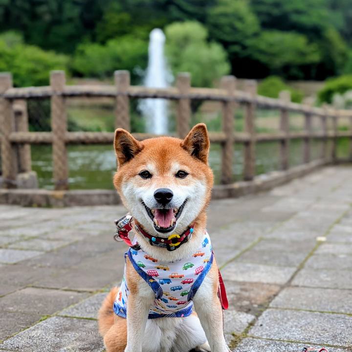 30df689d 4ac5 4e7a a3b0 d4df237ac7c5 1748498044466