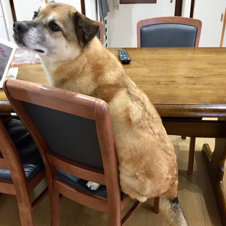 30df70e5 b986 492f 94aa 3cbd0041392a 1548671111915