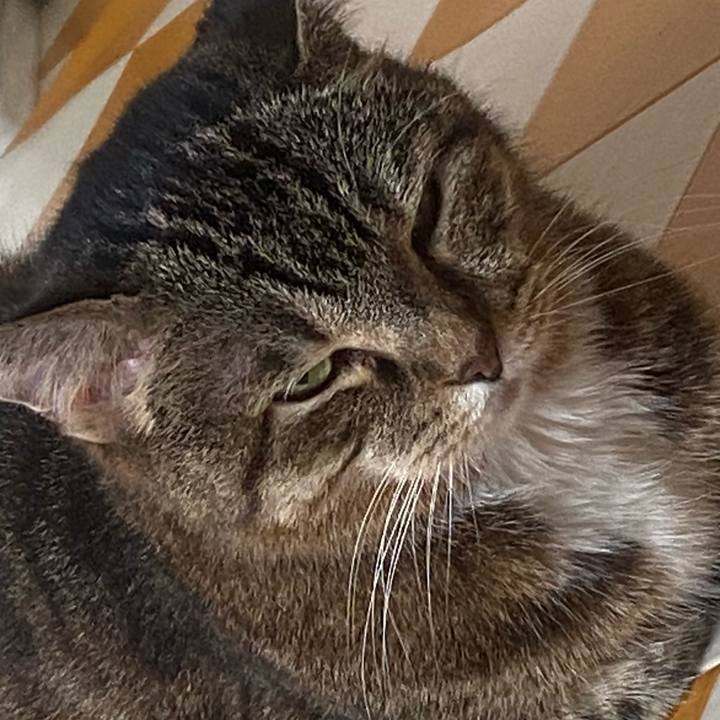 30df8ea8 6345 450c 96dd bfacd0f6eec6 1755762862449