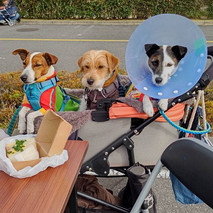 30dfba10 6034 4df2 8267 c1d92d1eb531 1670145908958