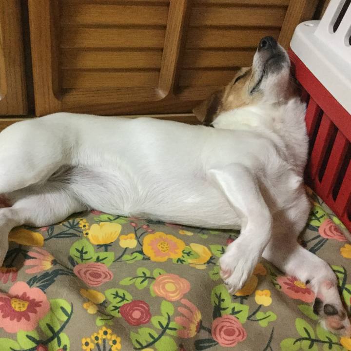 30dfee32 44e2 4815 a6d2 8877a83473ad 1530622217533