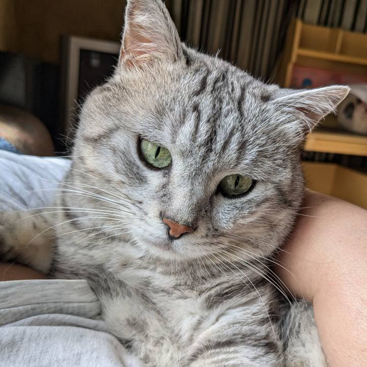 30e00013 d160 4ea2 8f6b 49b04d96f295 1720651460412