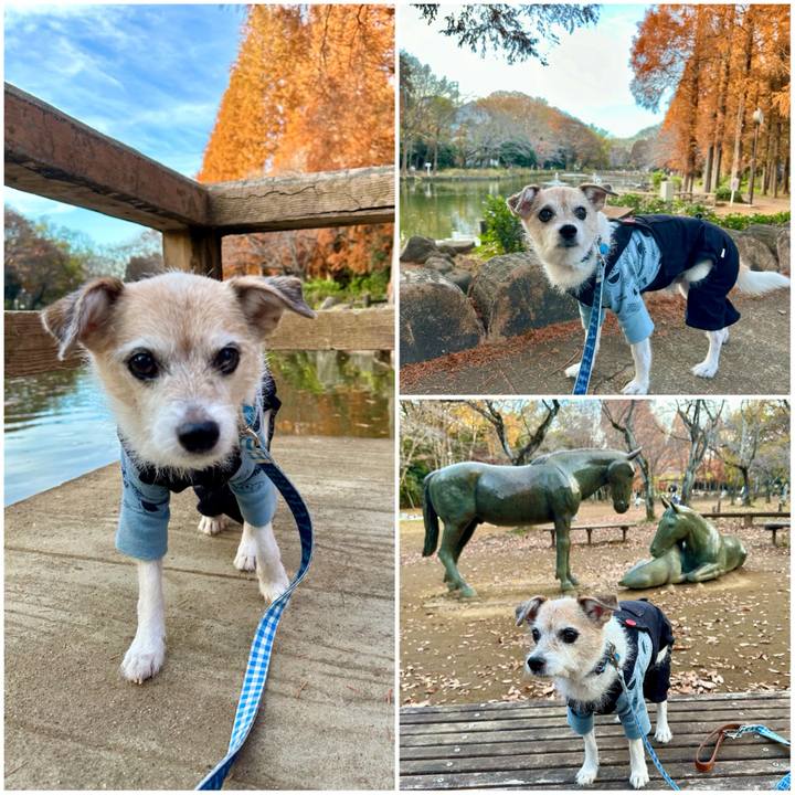 30e0d153 32f7 47a9 af29 6a952d25b694 1702110603085