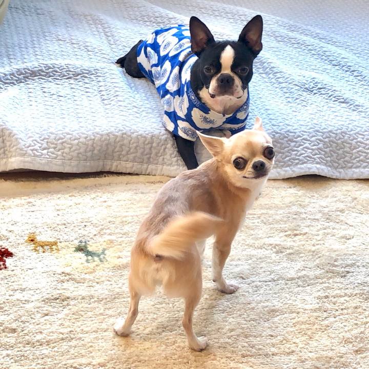 30e0ee4f 2676 4994 8d55 6c6f84311d5e 1517479315827