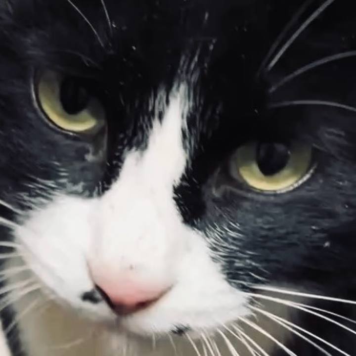 30e1324d b9a7 4885 b8b6 11bdc62312c0 1738199641658