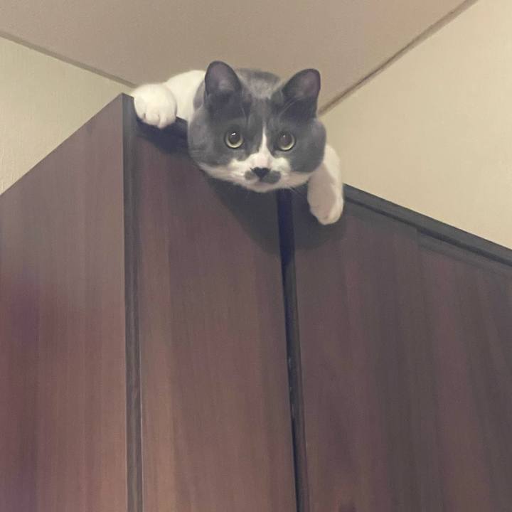 30e14223 78bc 4fe9 ba57 89292fee4e51 1725463473633