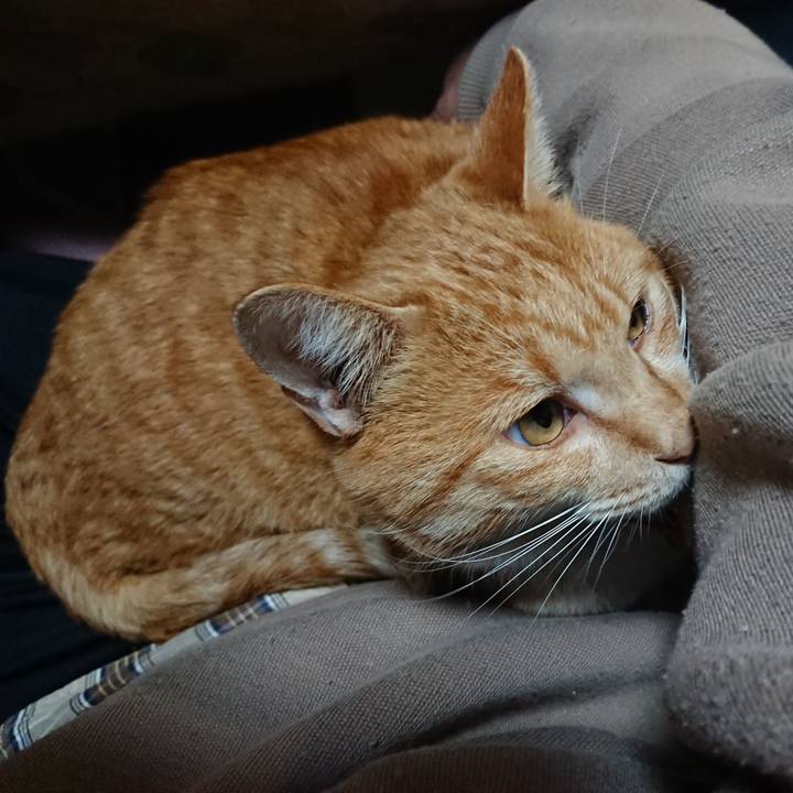 30e161d9 d2c6 4530 8000 eb4ac179013a 1574330848599