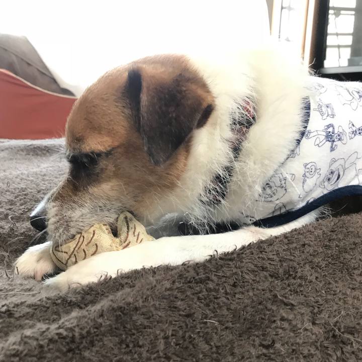 30e19499 bd95 4d6d 89a4 4f9651d8d9ff 1530566722988