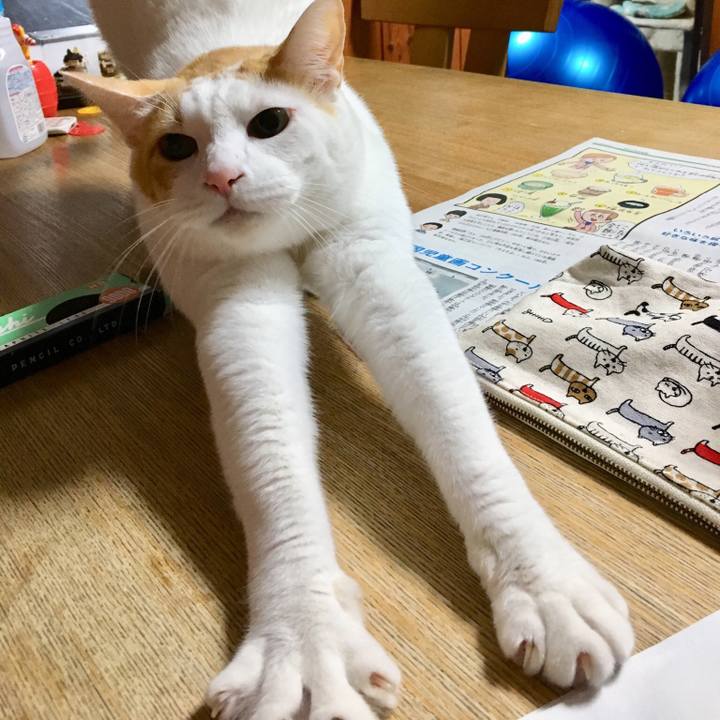 30e1a893 0833 4275 b7fb 4eda70ba7cbf 1512486499474