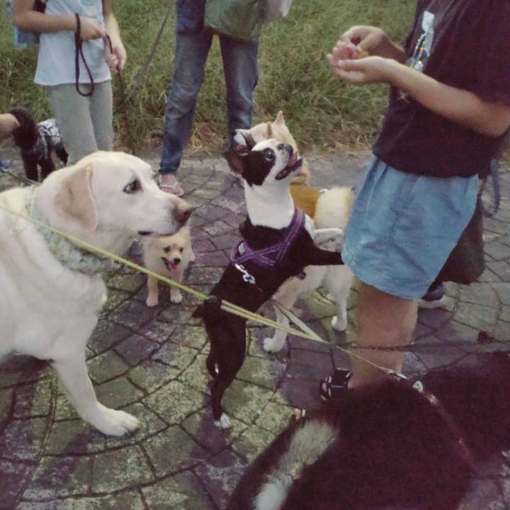 30e1ac1b 5496 410b be71 886eaab91f2b 1726615192981