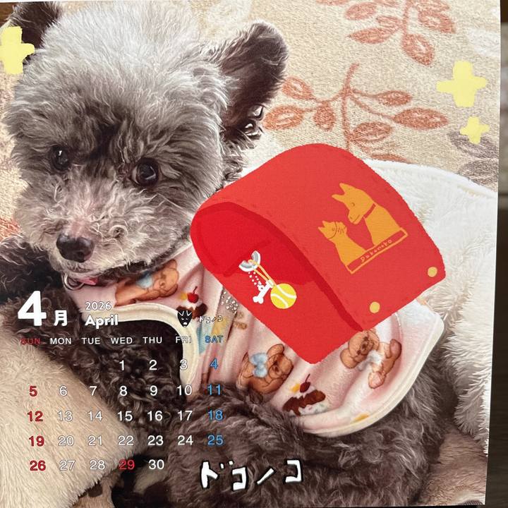 30e1d15a dfd6 436a a527 bec5c39c1efd 1775005687704