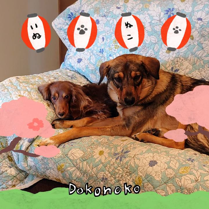 30e1d8e7 3866 4f5d 8d95 775b571ec680 1712289707044