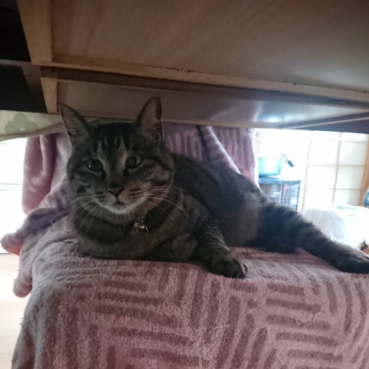 30e1eeb7 853d 42cc bc73 f5468c2d13f9 1650716259806