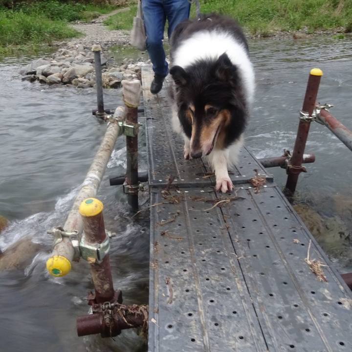 30e20ee6 a6d0 4788 8bde 5f61e727cac6 1596284800295