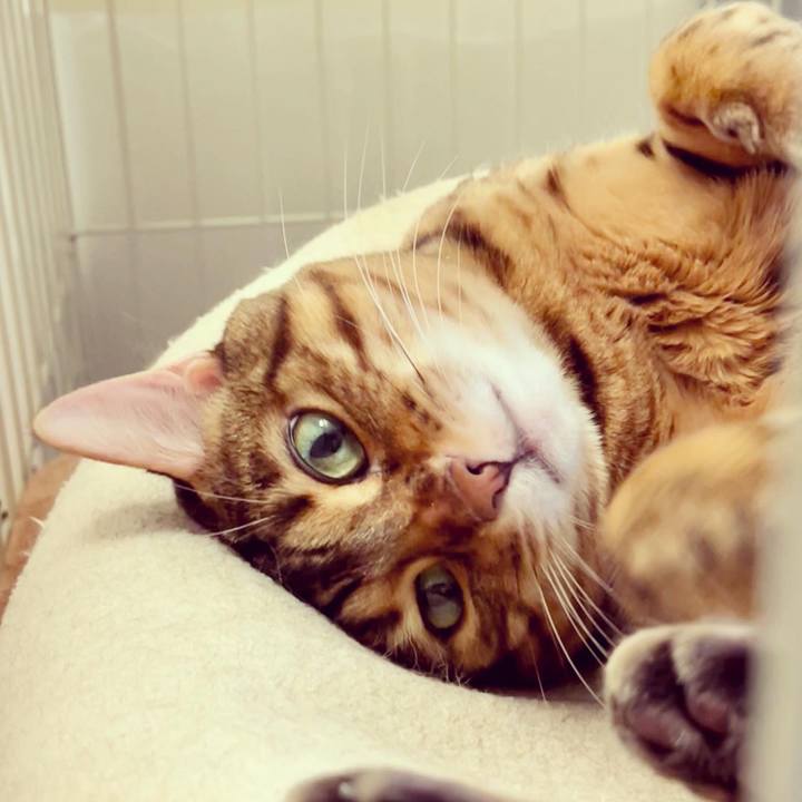 30e20f2b f5b9 4527 88c7 d5db638df76f 1641954756715