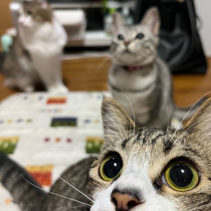 30e2164e 9668 4893 9480 e7d0b1d84360 1724314916415