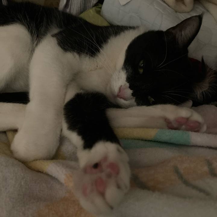 30e222f5 b7db 4623 859f 73bd05c56c2d 1619666178003