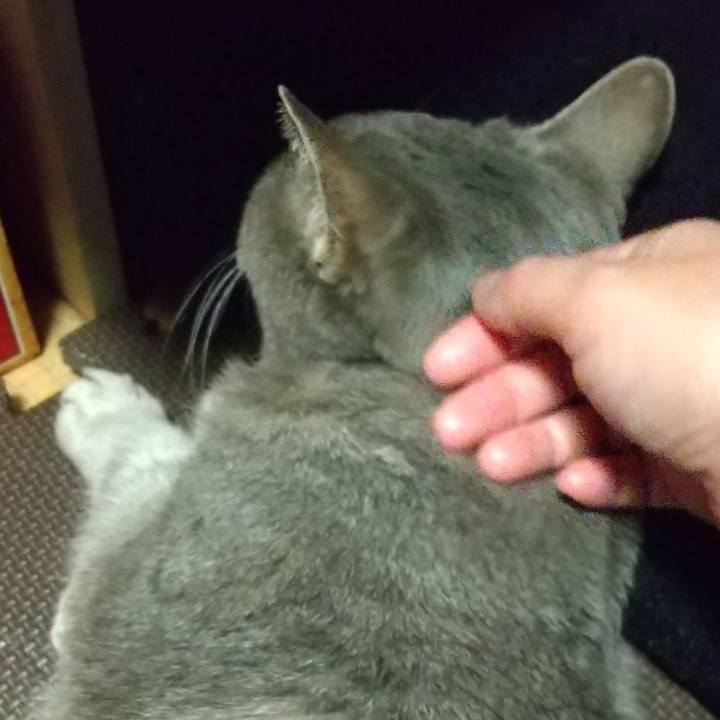 30e248e6 622e 4f9e 8a67 f0f03c1b253b 1678530096373