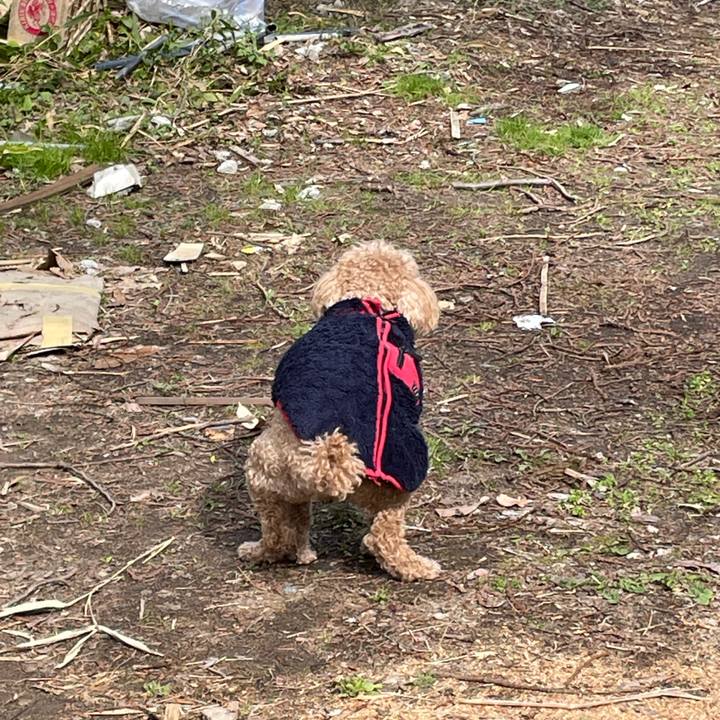 30e264ae 2fbf 43c6 a099 ead4dd530e5b 1712546368834