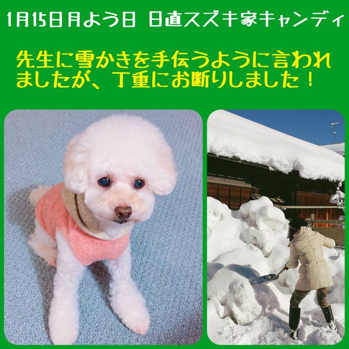 30e29676 4d3e 4799 9558 11d11c6c16da 1516006476788