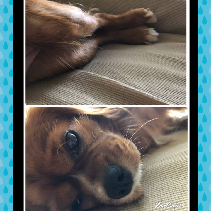 30e29c1e 207e 4a25 b6ec ce86032d8d2b 1532238030540