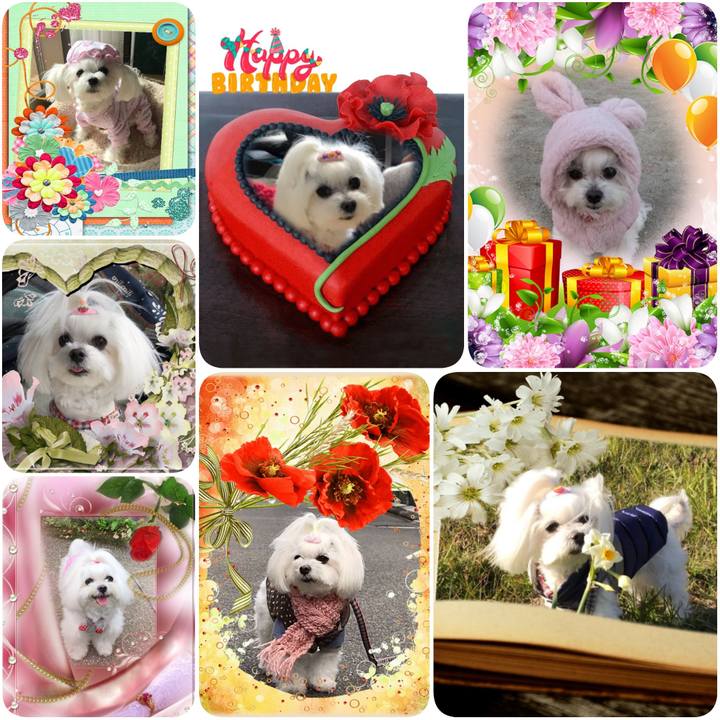 30e2a5dc 1c3c 4c62 8087 243bcbd9765f 1591652591800