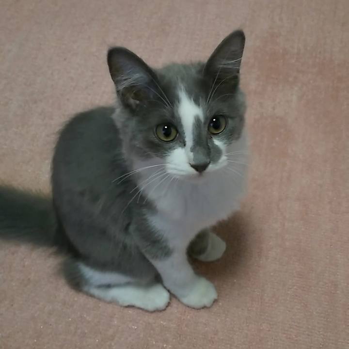 30e2b21b 3362 449a 8a10 ea5593b0f6b0 1566771291287