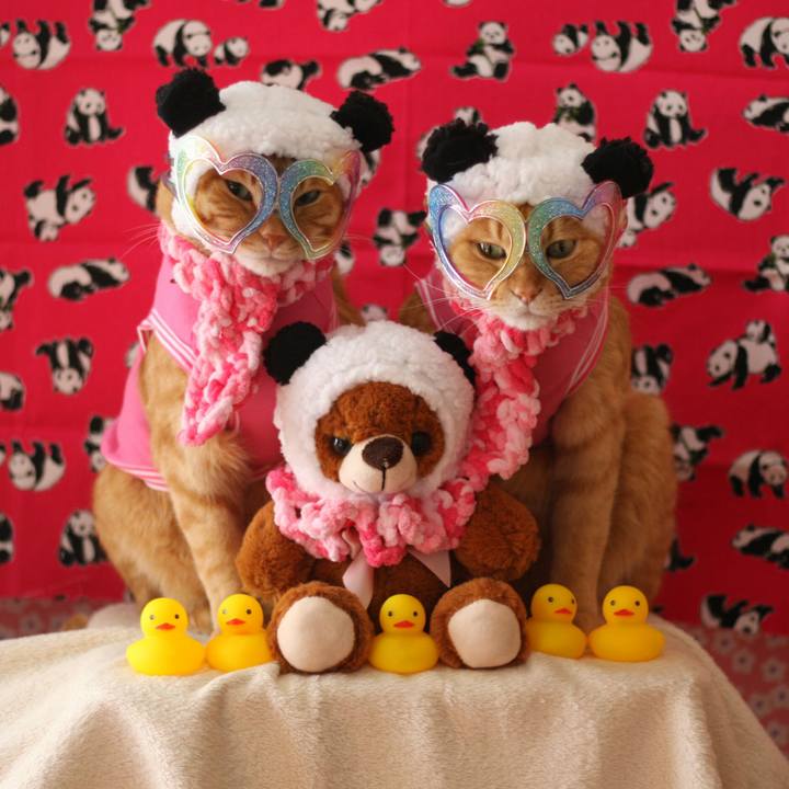 30e2e7d1 4ded 4b0e bab3 e48de4b5c0ce 1517902941603