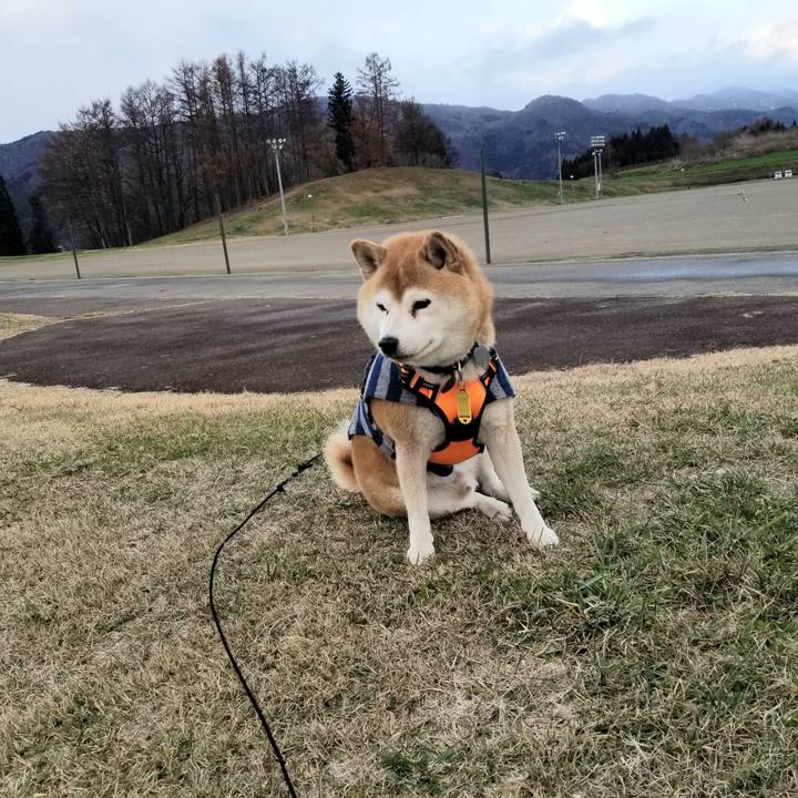 30e2f50c 72b0 4c43 95a6 7b676d34c44e 1638600931255